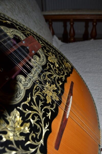 Bouzouki pickup holder