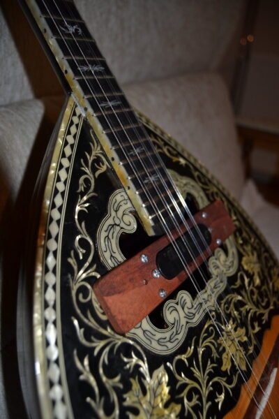 Bouzouki pickup holder